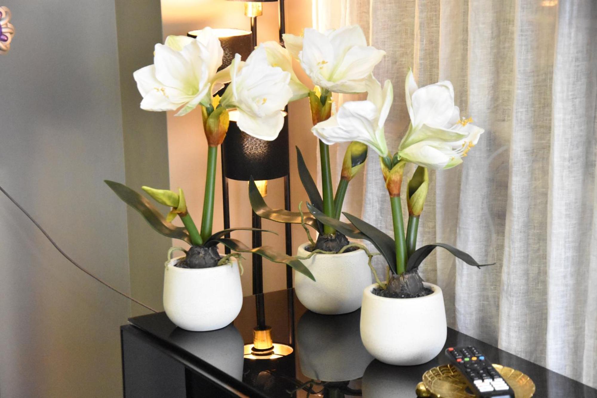 Diasof Apartments 罗马 外观 照片