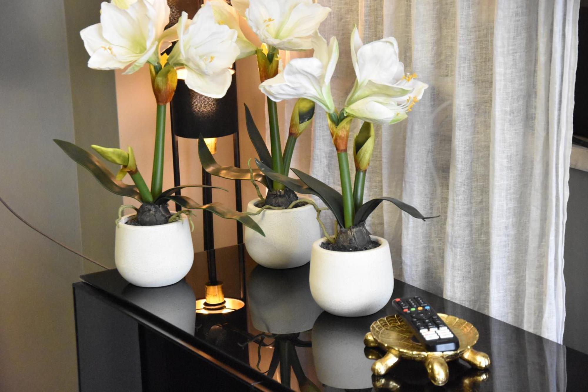 Diasof Apartments 罗马 外观 照片